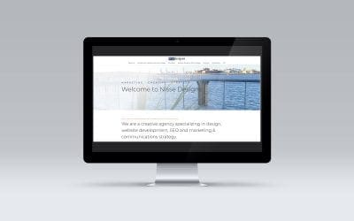 A Year of Exciting Projects and a New Website for Nisse Designs!