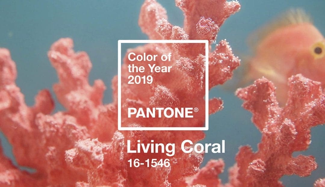 The Pantone Color of 2019 Is Warm, Glorious, and Connects Us to The World | Adobe Blog