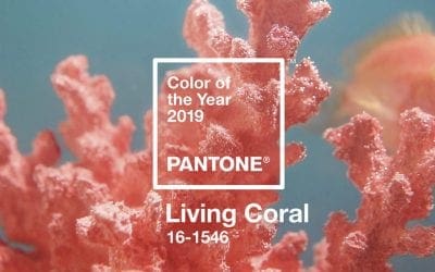 The Pantone Color of 2019 Is Warm, Glorious, and Connects Us to The World | Adobe Blog