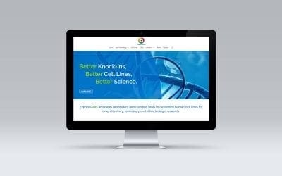 Nisse Designs launches new website for biotechnology company ExpressCells