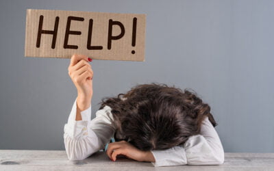 Introducing Go Marketing for Small Businesses