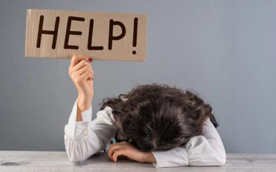 Introducing Go Marketing for Small Businesses